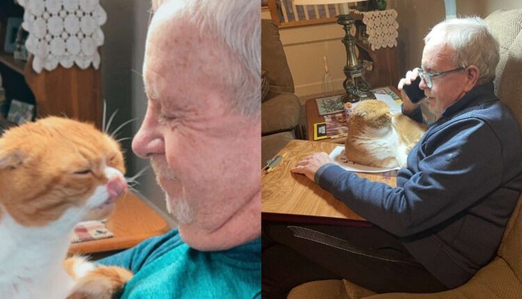 Γάτα Μένει Στην Αγκαλιά Για Να Θεραπεύσει Τον Παππού Όταν Καταλαβαίνει Πως Είναι Άρρωστος