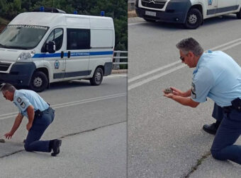 Καστοριά: Aστυνομικός βοήθησε χελωνάκι να περάσει με ασφάλεια τον δρόμο