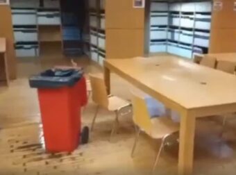 Τραγικές συνθήκες στο ΑΠΘ: Πλημμύρισε και η βιβλιοθήκη από τη βροχή – Νερά έσταζαν από το ταβάνι (Video)
