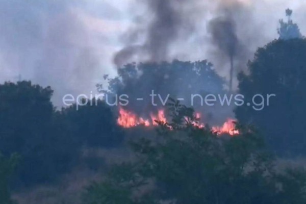 Πυρκαγιά στα Ιωάννινα σε λόφο κοντά στις φυλακές (video)