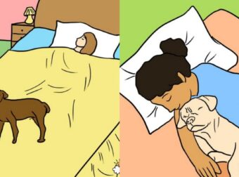 Αυτά είναι τα πραγματικά οφέλη όταν αφήνετε τον σκύλο σας να κοιμάται μαζί σας