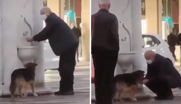Έδωσε νερό στον σκύλο με την παλάμη του. Δεν τον προσπέρασε
