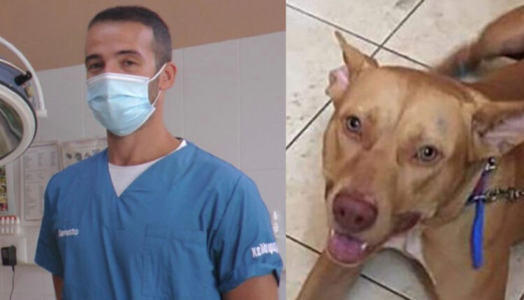 Αυτός Είναι Ο Κτηνίατρος-Ήρωας Που Έσωσε Αφιλοκερδώς Τον Βασανισμένο Σκύλο Στα Χανιά