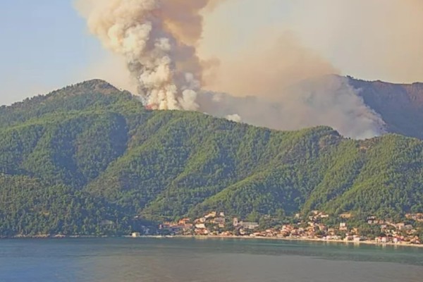 Φωτιά στη Θάσο: Συνεχίζεται η μάχη των πυροσβεστών – Κάηκαν τα μοναδικά έλατα που υπήρχαν στο νησί
