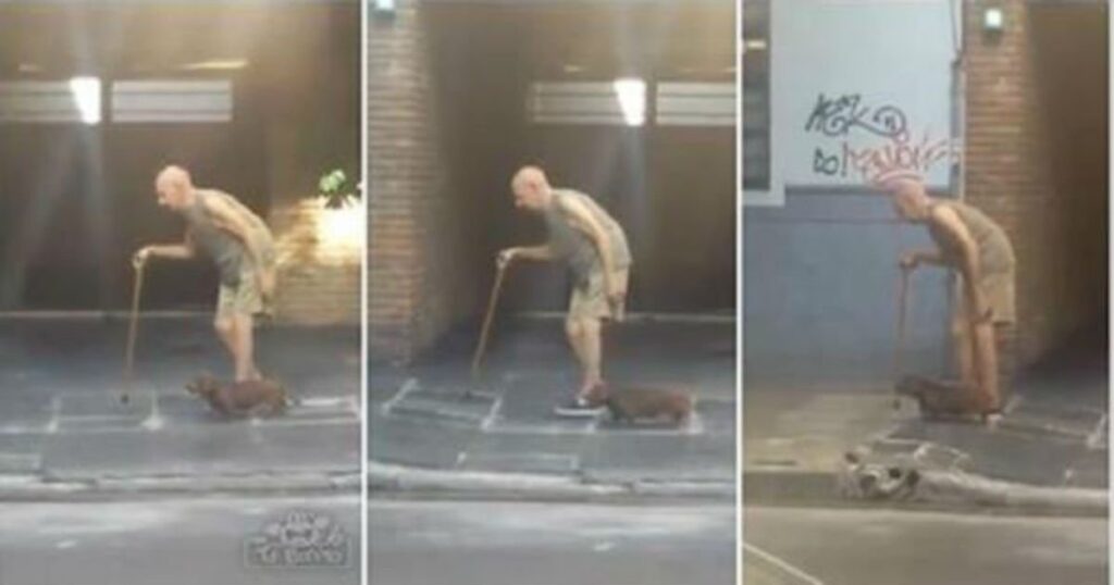 Σκυλί περπατά υπομονετικά για να συμβαδίσει με τον γέρο ιδιοκτήτη του. (Βίντεο)