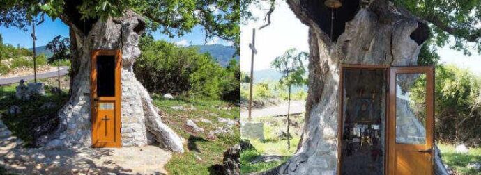 Η κρυμμένη Δεντροκκλησιά του Αγίου Παϊσίου: Το εντυπωσιακό εκκλησάκι μέσα σε δέντρο στο χωριό Αγία Βαρβάρα της Κόνιτσας