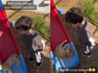 «Είναι άδικο» είπε ένας «μικρός κύριος» σε μια γάτα στο Tik Tok και έγινε viral