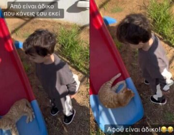 «Είναι άδικο» είπε ένας «μικρός κύριος» σε μια γάτα στο Tik Tok και έγινε viral