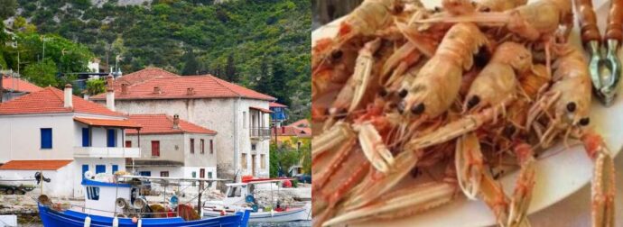 Ο απόλυτος «παράδεισος» χωρίς… τουρίστες: Ο μοναδικός προορισμός που τρως ψαράκι, πίνεις και κοιμάσαι, μόνο με 15 εuρώ την ημέρα