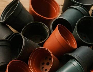 Σταματήστε να πετάτε τις παλιές πλαστικές γλάστρες. 10 καταπληκτικοί τρόποι να τις χρησιμοποιήσετε
