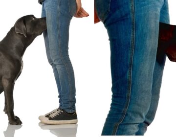 Αν ο σκύλος μυρίζει τα γεννητικά σας όργανα τότε να τι σημαίνει