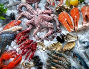 Αuτά είναι τα μολυσμένα θαλασσινά που πωλούνται στην Ελλάδα – Σοβαρός κίνδυνος για την υγεία 