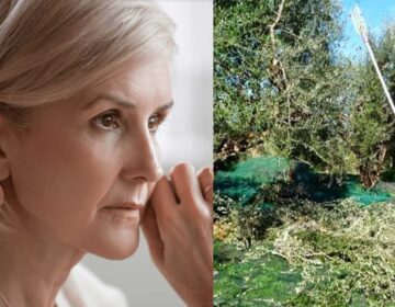 O άντρας μου κατέβηκε στην Ικαρία να μαζέψει ελιές πριν 5 χρόνια και ακόμη να γυρίσει. Τι να κάνω;
