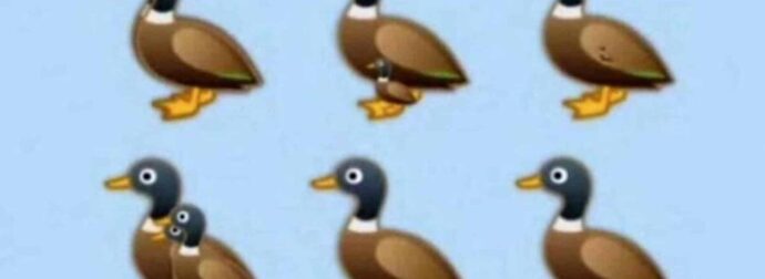 Βρείτε όλες τις πάπιες της εικόνας: Το τεστ παρατηρητικóτητας που ελάχιστοι απαντοúν σωστά