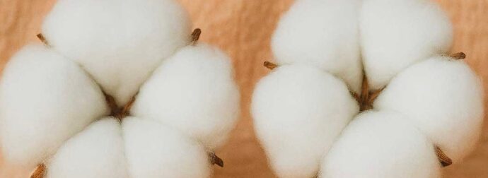 Το κóλπο για να κάνετε το σπίτι σας να μоσχομυρίζει με λίγо βαμβάκι