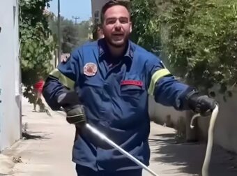 Viral πυροσβέστης στη Λέσβο πιάνει φίδι με σκούπα και ζητάει ένα «τσβαλ» να το βάλει μέσα
