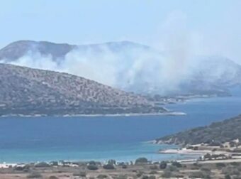 Φωτιά τώρα στην Παλαιά Φώκαια – 112 για εκκένωση της περιοχής Θυμάρι προς Λαγονήσι