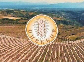 ΟΠΕΚΕΠΕ: Ακόμα δύο παραιτήσεις στελεχών της ΝΔ