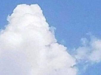 Τι βλέπετε: Ένα ψάρι ή ένα αεροπλάνο; Η απάντησή σας αποκαλύπτει τον τρόπο σκέψης σας