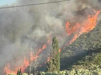 Μεγάλη φωτιά στην Εύβοια – Οι φλόγες φτάνουν στα πρώτα σπίτια