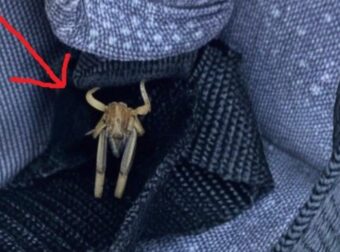 Τα έχω παντού στο αυτοκίνητό μου, τι είναι πάλι αυτό;