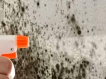Πώς να αφαιρέσετε την υγρασία από τους τοίχους ώστε να μην επιστρέψει ποτέ