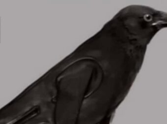 Αυτό που είδατε πρώτο αποκαλύπτει αν είστε αριστοκρατικό άτομο