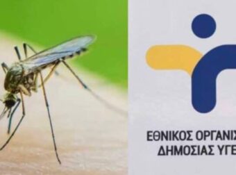 Ιός του Δυτικού Νείλου: 2 νεκροί και συνολικά 47 κρούσματα στη χώρα μας – Ποιοι δήμοι απειλούνται περισσότερο