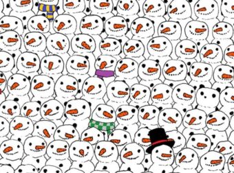 Τεστ παρατηρητικότητας: Μπορείτε να βρείτε το πάντα ανάμεσα στους χιονάνθρωπους;