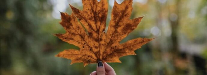 Τα 3 πιο τυχεpά ζώδια του φθινοπώρου που έχουν το σύμπαν με το μέρος τους