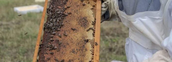 ΟΠΕΚΕΠΕ: Ο «μελισσοκόμος» βουλευτής της ΝΔ από την Εύβοια