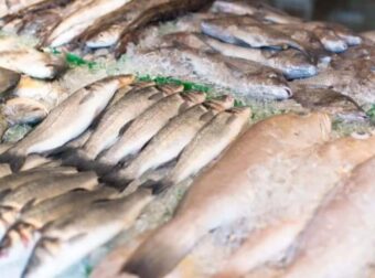 Ούτε τόνος, ούτε σολομός: Το ψάρι που μπαίνει σε κάθε ελληνικό σπίτι και είναι γεμάτο υδράργυρο