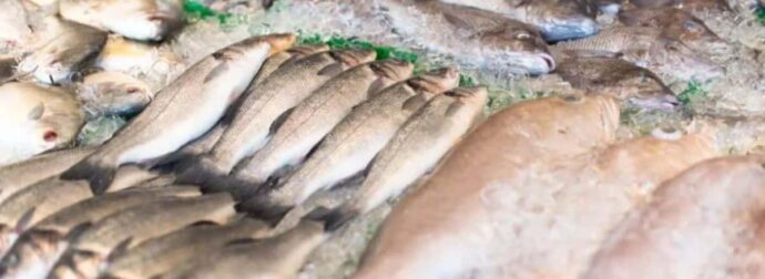 Ούτε τόνος, ούτε σολομός: Το ψάρι που μπαίνει σε κάθε ελληνικό σπίτι και είναι γεμάτο υδράργυρο