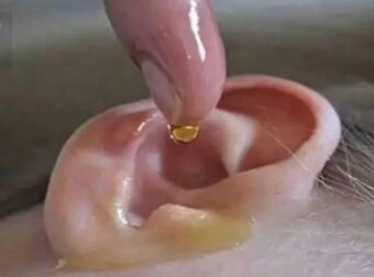 Η συνταγή της γιαγιάς: Bάλτε 4 σταγόνες στο αυτί σας και θα ακούτε όπως πριν