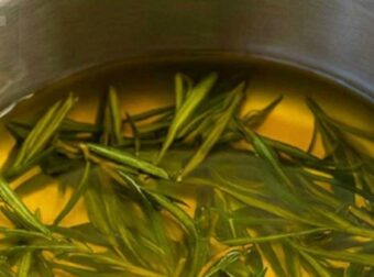 Πώς να φτιάξετε λάδι δενδρολίβανου για την ανακούφιση από τους πόνους σε μύες και αρθρώσεις