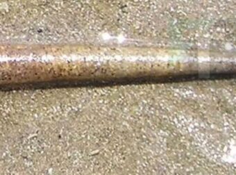 Αν ξέρετε τι είναι αυτό τότε τα παιδικά σας χρόνια ήταν δύσκολα