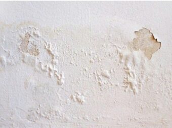 Πώς να αντιμετωπίσετε μουχλιασμένους, φουσκωμένους ή ξεφλουδισμένους τοίχους χωρίς να προσλάβετε επαγγελματία