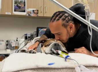 Λιούις Χάμιλτον: Ο σκύλος του βρίσκεται σε κώμα – Το μήνυμα του παγκόσμιου πρωταθλητή για τον Roscoe