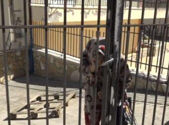 Θρίλερ με τη 92χρονη στη Βοιωτία: Έπαιρνε 4 επιδοτήσεις και 3.000 ευρώ μετά τον θάνατό της – Νέες αποκαλύψεις