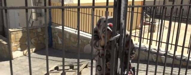 Θρίλερ με τη 92χρονη στη Βοιωτία: Έπαιρνε 4 επιδοτήσεις και 3.000 ευρώ μετά τον θάνατό της – Νέες αποκαλύψεις