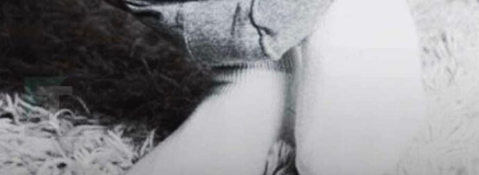 Οι ειδικοί αποκαλύπτουν επτά λόγους για τους οποίους δεν πρέπει να κοιμάστε με τα εσώρουχά σας γιατί μπορεί να εμφανιστούν προβλήματα υγείας