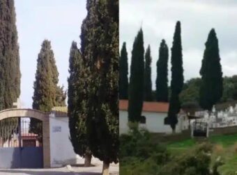 Γιατί στα νεκροταφεία φυτεύουν κυπαρίσσια – Η απάντηση της εκκλησίας