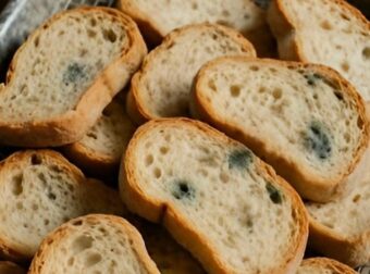 Έβγαλα λίγο μπαγιάτικο ψωμί από το ντουλάπι. Η πεθερά μου λέει ότι είναι σπατάλη να μην το χρησιμοποιήσουμε, αλλά εμένα μου φαίνεται χάλια. Τι να κάνω;