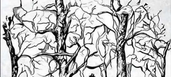 Το πρώτο ζώο που βλέπετε αποκαλύπτει κάτι καταπληκτικό για την προσωπικότητα σας