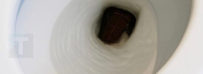 Σήκωσα το καπάκι της τουαλέτας το πρωί και πάγωσα — στην αρχή νόμιζα πως ήταν απλώς ένα αντικείμενο, μέχρι που άρχισε να κινείται