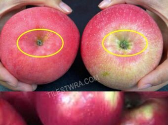 Αυτά πρέπει να προσέξετε για να διαλέξετε τα καλύτερα τραγάνα και γλυκά μήλα