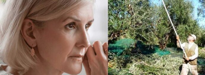 O άντρας μου κατέβηκε στην Ικαρία να μαζέψει ελιές πριν 5 χρόνια και ακόμη να γυρίσει. Τι να κάνω;