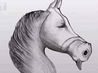 Ο μέσος άνθρωπος το βλέπει αuτό ως άλογο