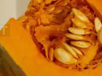 Οι γιατροί αποκαλύπτουν ότι η κατανάλωση κολοκύθας προκαλεί…