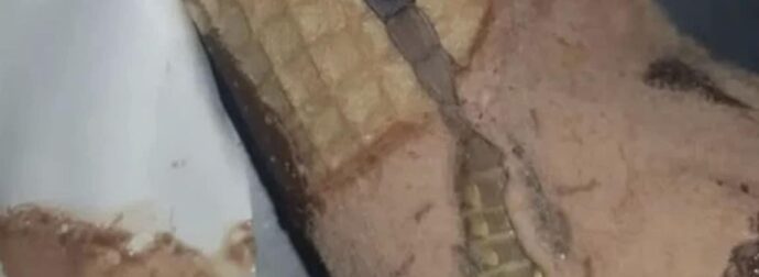 Η κόρη μου άνοιξε ένα παγωτό χωνάκι και βρήκε κάτι παράξενο μέσα, μείναμε άφωνοι όταν συνειδητοποιήσαμε τι ήταν